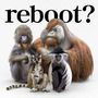 reboot～あきらめない詩～ / 流れ星