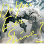 Do You Ever Shine？