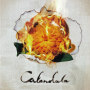Calendula