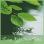 White Noise Rainy Night Stress Relief：Relaxing Forest Nature