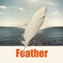 Feather