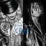 Crave (Remixes)