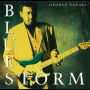 BLUESTORM