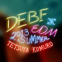 DEBF EDM 2013 SUMMER