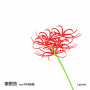 Lycoris(feat.中村佳穂)