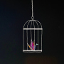 from a lockless cage