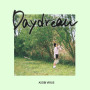 Daydream