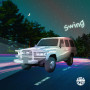Swing