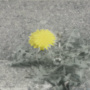 愛をもって