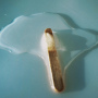 ice