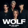 WOLF HOWL HARMONY from EXILE TRIBE「WOLF」