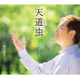 天道虫