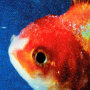 ヴィンス・ステイプルズ「Big Fish Theory」