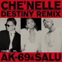 シェネル「Destiny(Remix) feat.AK-69」
