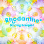 Rhodanthe*「Smiling Bouquet」