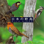 ＜COLEZO!＞ 自然音　日本の野鳥