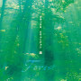 リラックス イリュージョン　～FOREST 森
