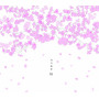 桜  (2013 NEW REMASTER)